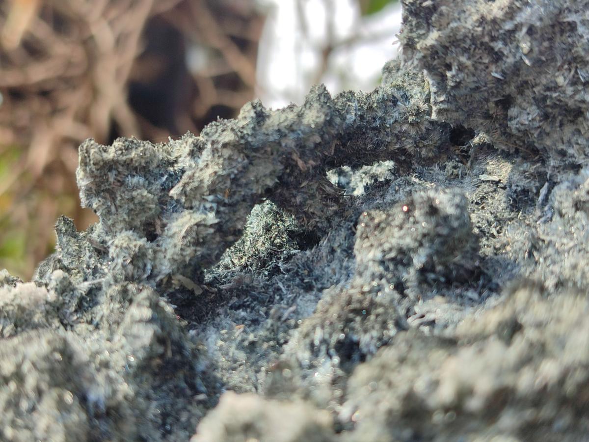 Natural Large Fibrous Foitite Specimen x 1 From Erongo, Namibia