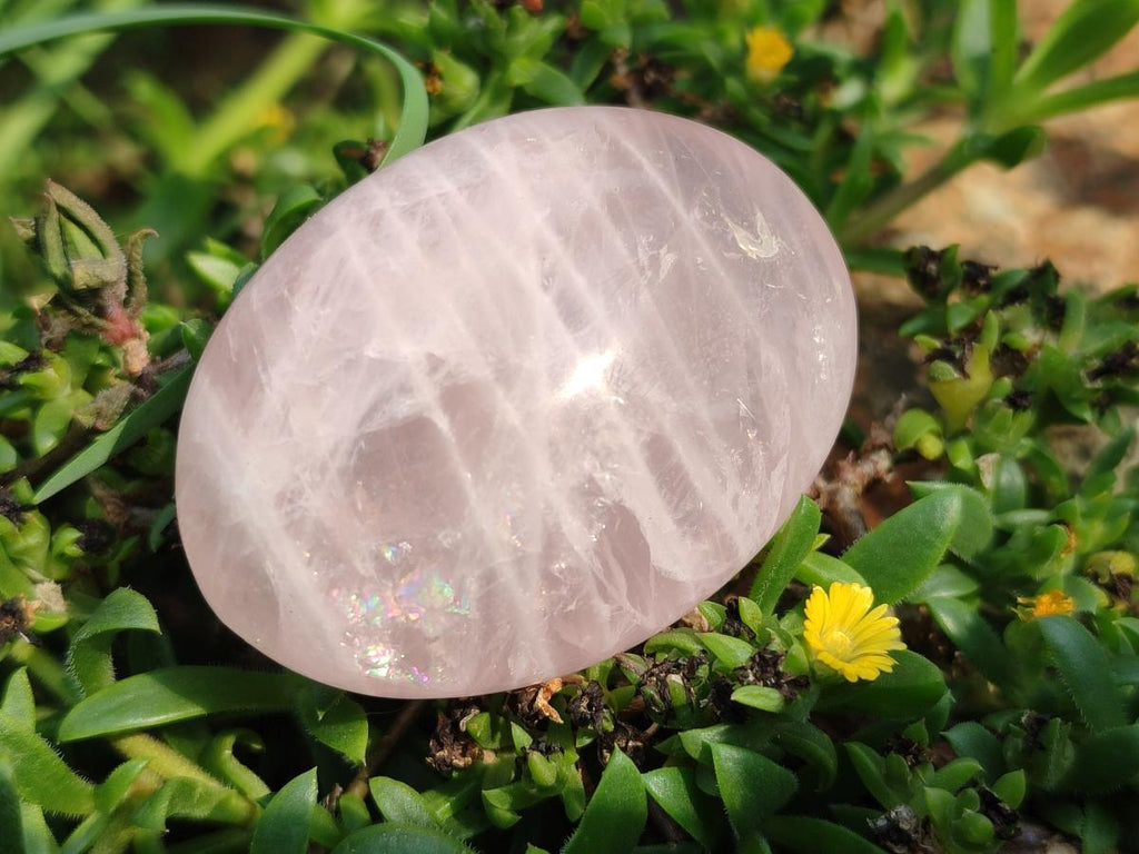 Polished Gemmy Rose Quartz Palm Stones x 20 From Madagascar