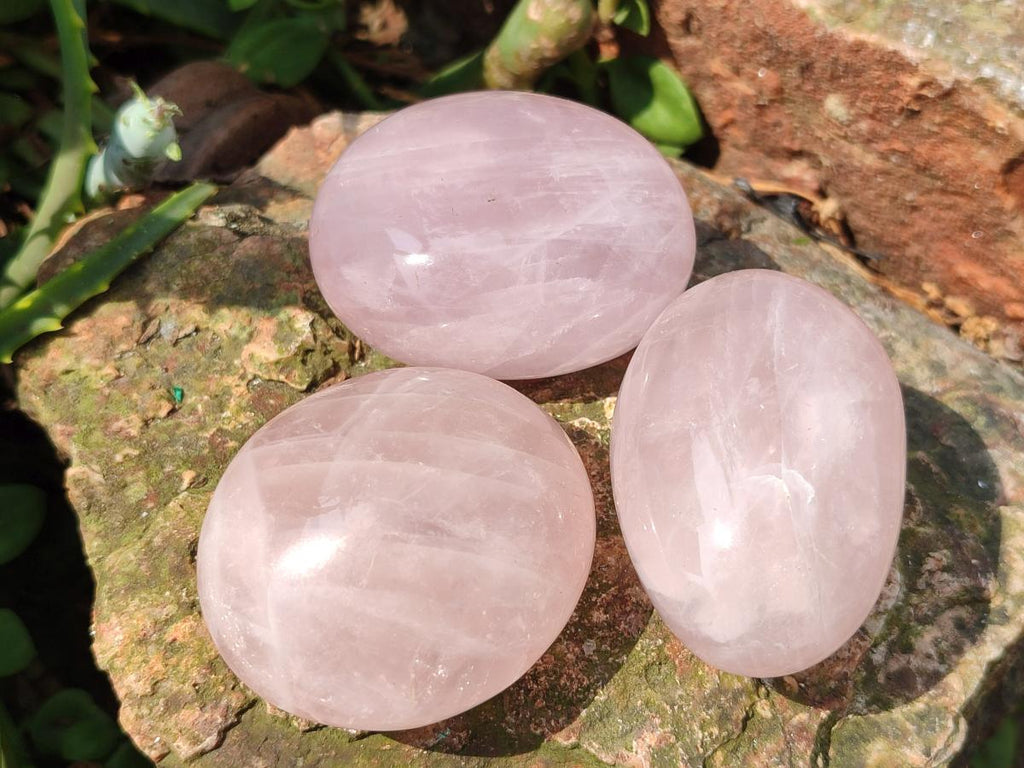 Polished Gemmy Rose Quartz Palm Stones x 20 From Madagascar
