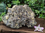 Natural XL Smokey Fluorite Floater Specimen with Yellow Muscovite Mica x 1 From Erongo, Namibia