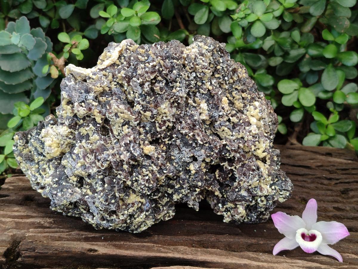 Natural XL Smokey Fluorite Floater Specimen with Yellow Muscovite Mica x 1 From Erongo, Namibia