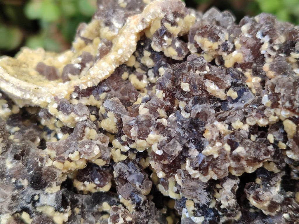 Natural XL Smokey Fluorite Floater Specimen with Yellow Muscovite Mica x 1 From Erongo, Namibia