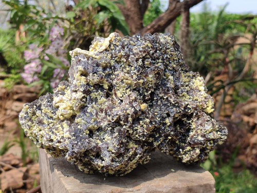 Natural XL Smokey Fluorite Floater Specimen with Yellow Muscovite Mica x 1 From Erongo, Namibia