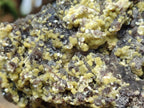 Natural XL Smokey Fluorite Floater Specimen with Yellow Muscovite Mica x 1 From Erongo, Namibia