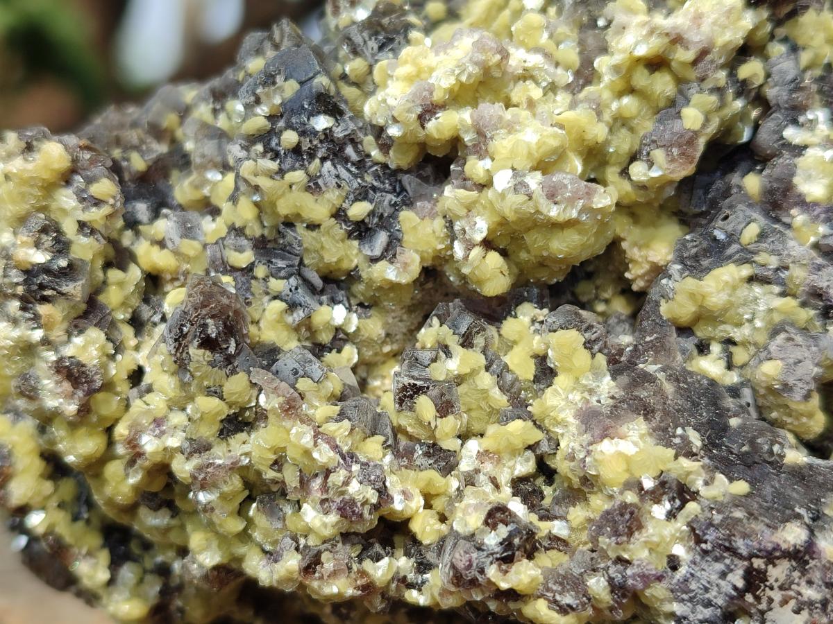 Natural XL Smokey Fluorite Floater Specimen with Yellow Muscovite Mica x 1 From Erongo, Namibia