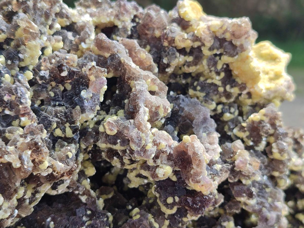 Natural XL Smokey Fluorite Floater Specimen with Yellow Muscovite Mica x 1 From Erongo, Namibia