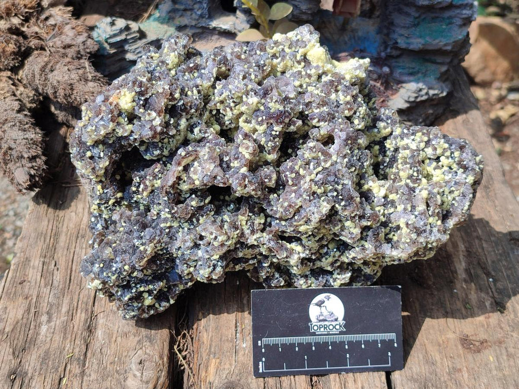Natural XL Smokey Fluorite Floater Specimen with Yellow Muscovite Mica x 1 From Erongo, Namibia