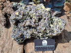 Natural XL Smokey Fluorite Floater Specimen with Yellow Muscovite Mica x 1 From Erongo, Namibia