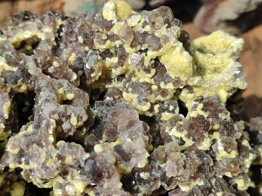 Natural XL Smokey Fluorite Floater Specimen with Yellow Muscovite Mica x 1 From Erongo, Namibia