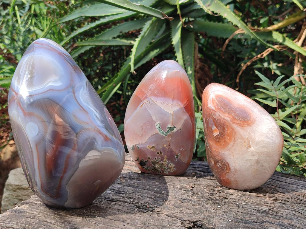 Polished Red Shashe River Agate Standing Display Pieces x 3 From Shashe River, Zimbabwe