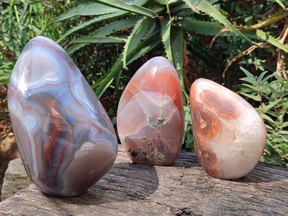 Polished Red Shashe River Agate Standing Display Pieces x 3 From Shashe River, Zimbabwe