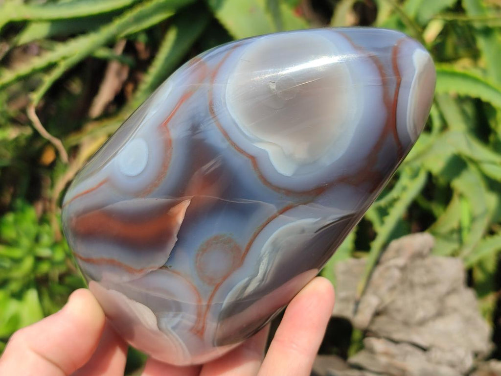 Polished Red Shashe River Agate Standing Display Pieces x 3 From Shashe River, Zimbabwe