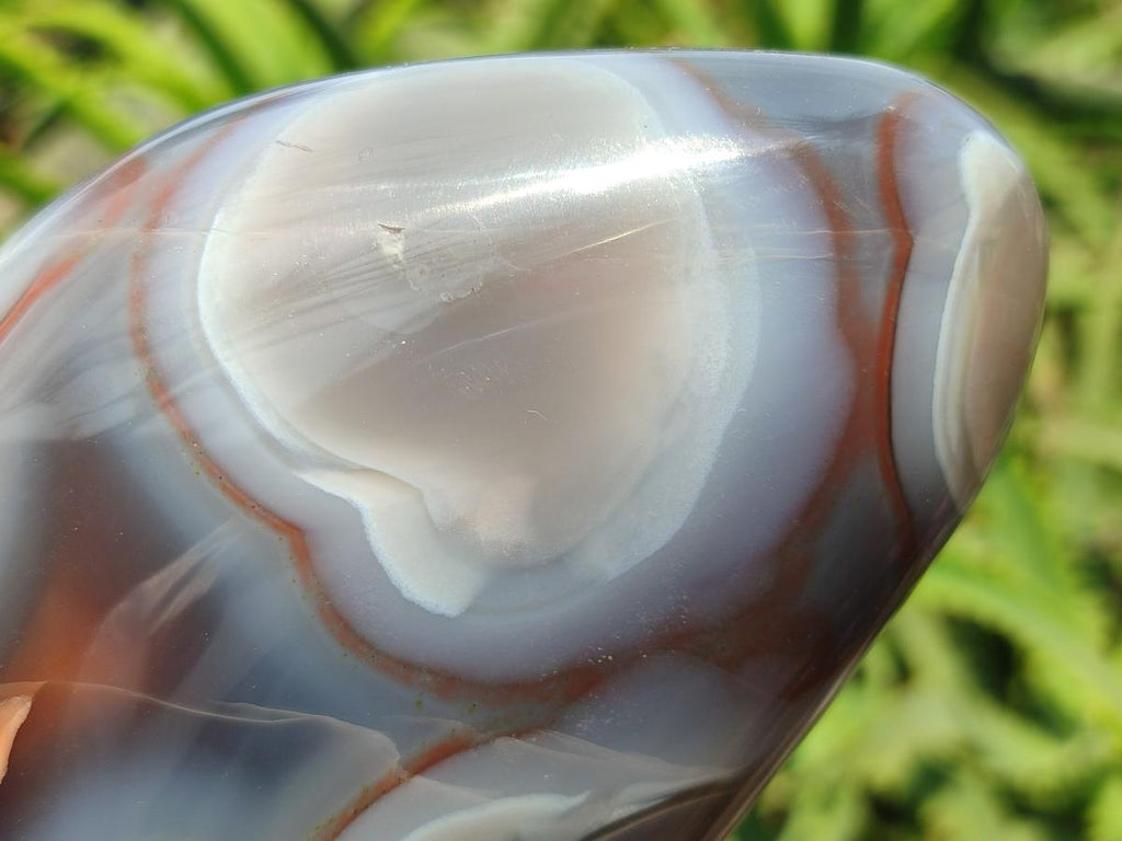 Polished Red Shashe River Agate Standing Display Pieces x 3 From Shashe River, Zimbabwe