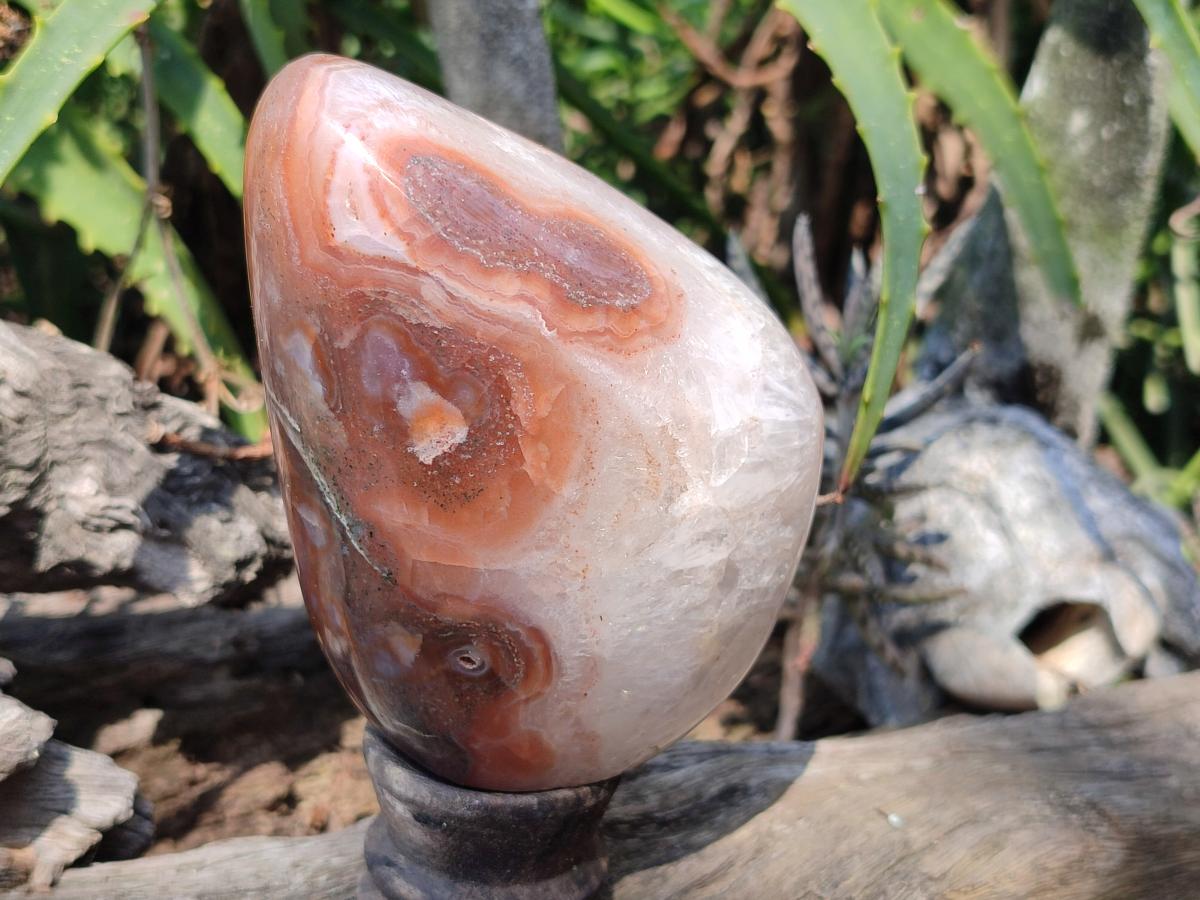 Polished Red Shashe River Agate Standing Display Pieces x 3 From Shashe River, Zimbabwe
