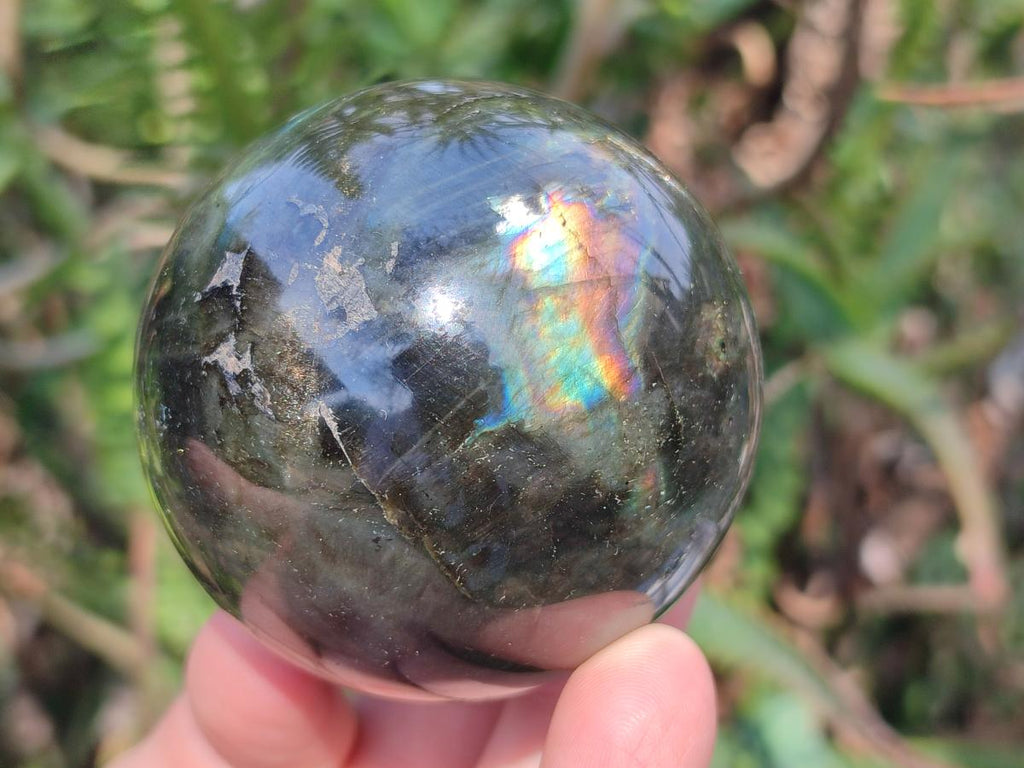 Polished Labradorite Spheres x 6 From Madagascar