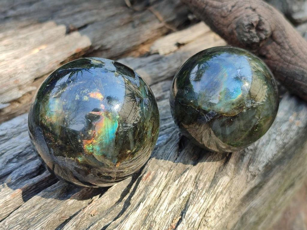 Polished Labradorite Spheres x 6 From Madagascar