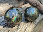 Polished Labradorite Spheres x 6 From Madagascar