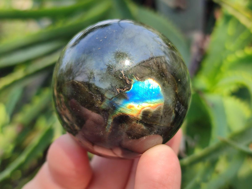 Polished Labradorite Spheres x 6 From Madagascar