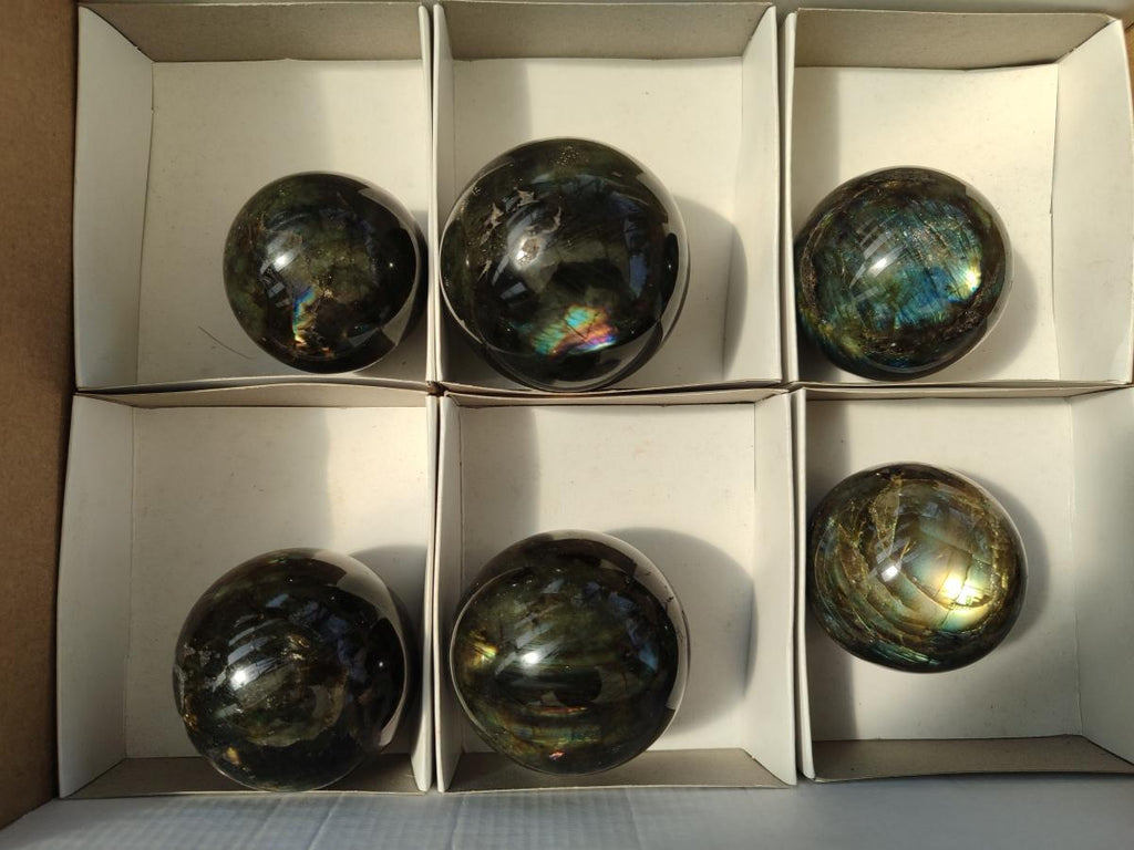 Polished Labradorite Spheres x 6 From Madagascar
