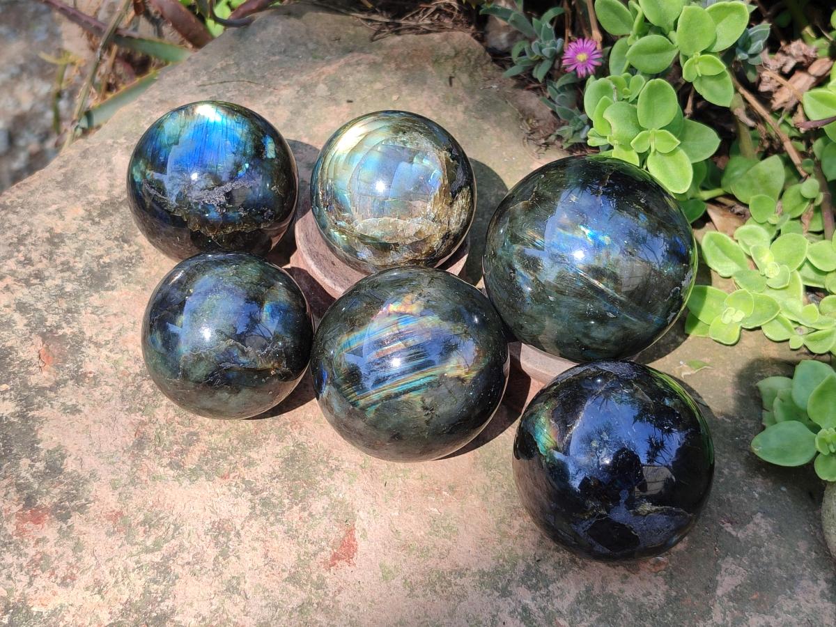 Polished Labradorite Spheres x 6 From Madagascar