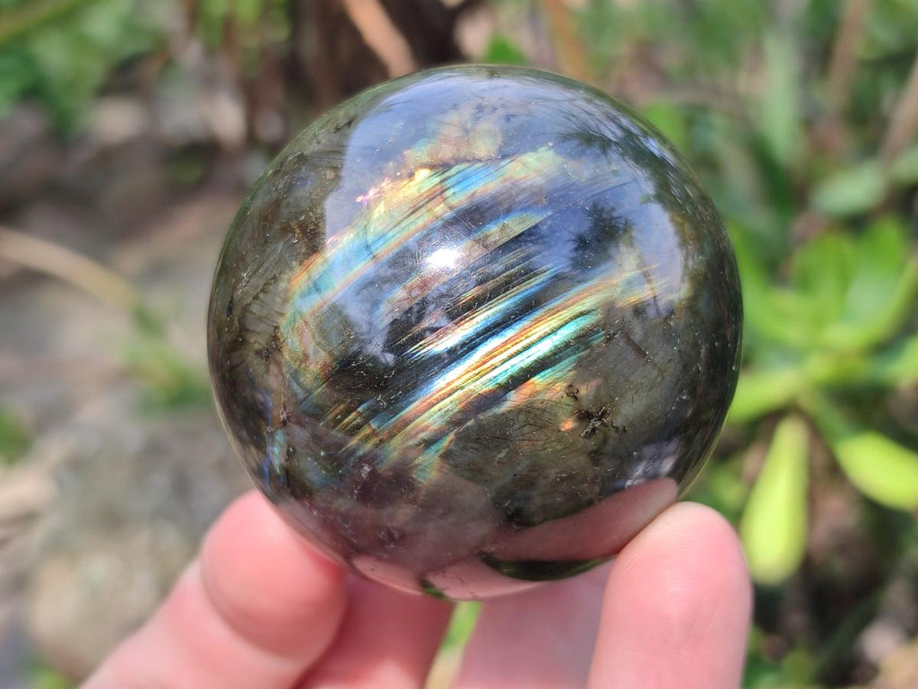 Polished Labradorite Spheres x 6 From Madagascar
