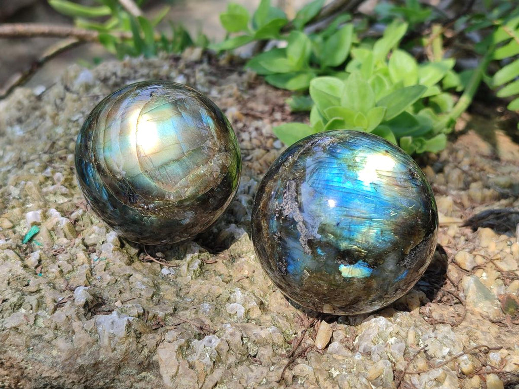 Polished Labradorite Spheres x 6 From Madagascar