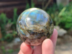 Polished Labradorite Spheres x 6 From Madagascar