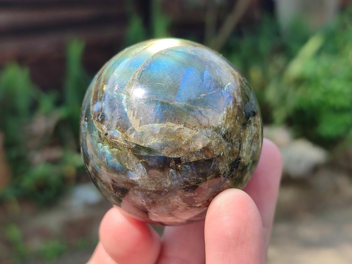 Polished Labradorite Spheres x 6 From Madagascar