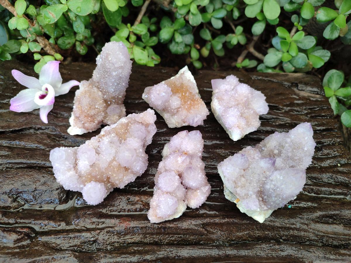 Natural Spirit Amethyst Clusters x 6 From Boekenhouthoek, South Africa