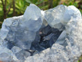 Natural Blue Celestite Specimens x 2 From Sakoany, Madagascar