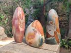 Polished Polychrome Jasper Standing Display Pieces x 3 From Androka, Madagascar
