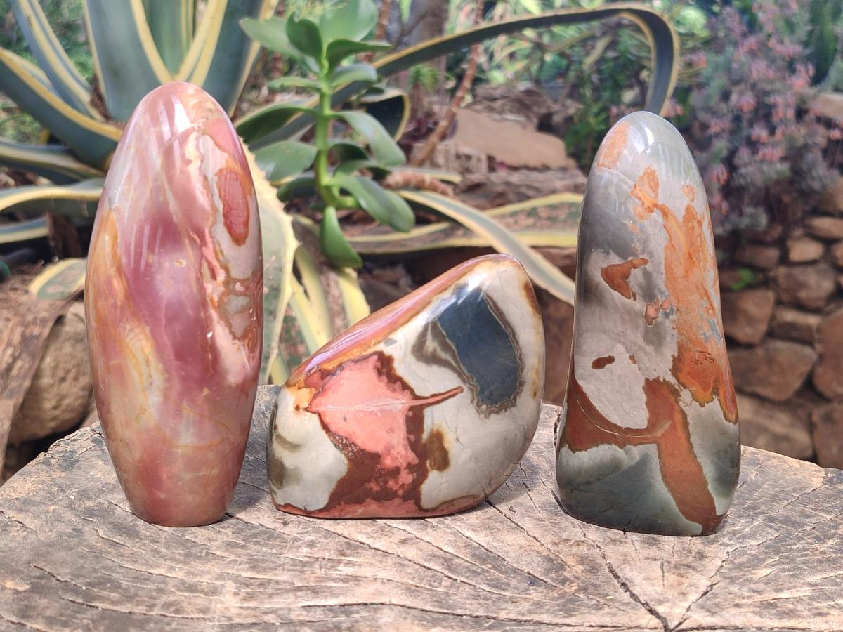 Polished Polychrome Jasper Standing Display Pieces x 3 From Androka, Madagascar