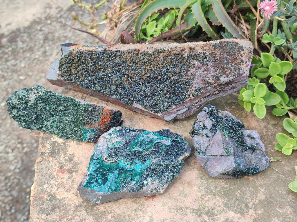 Natural Crystalline Libethenite Specimens on Dolomite Matrix x 4 From Shituru, Congo