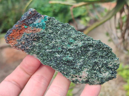Natural Crystalline Libethenite Specimens on Dolomite Matrix x 4 From Shituru, Congo