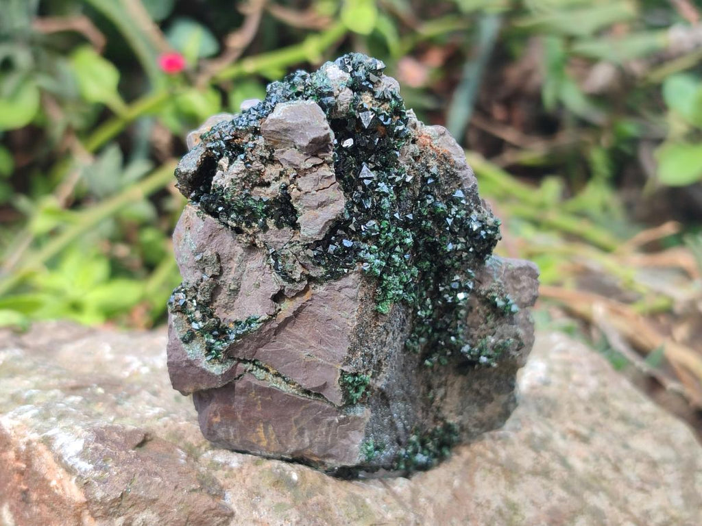 Natural Crystalline Libethenite Specimens on Dolomite Matrix x 4 From Shituru, Congo