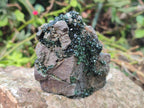Natural Crystalline Libethenite Specimens on Dolomite Matrix x 4 From Shituru, Congo
