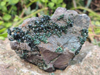 Natural Crystalline Libethenite Specimens on Dolomite Matrix x 4 From Shituru, Congo