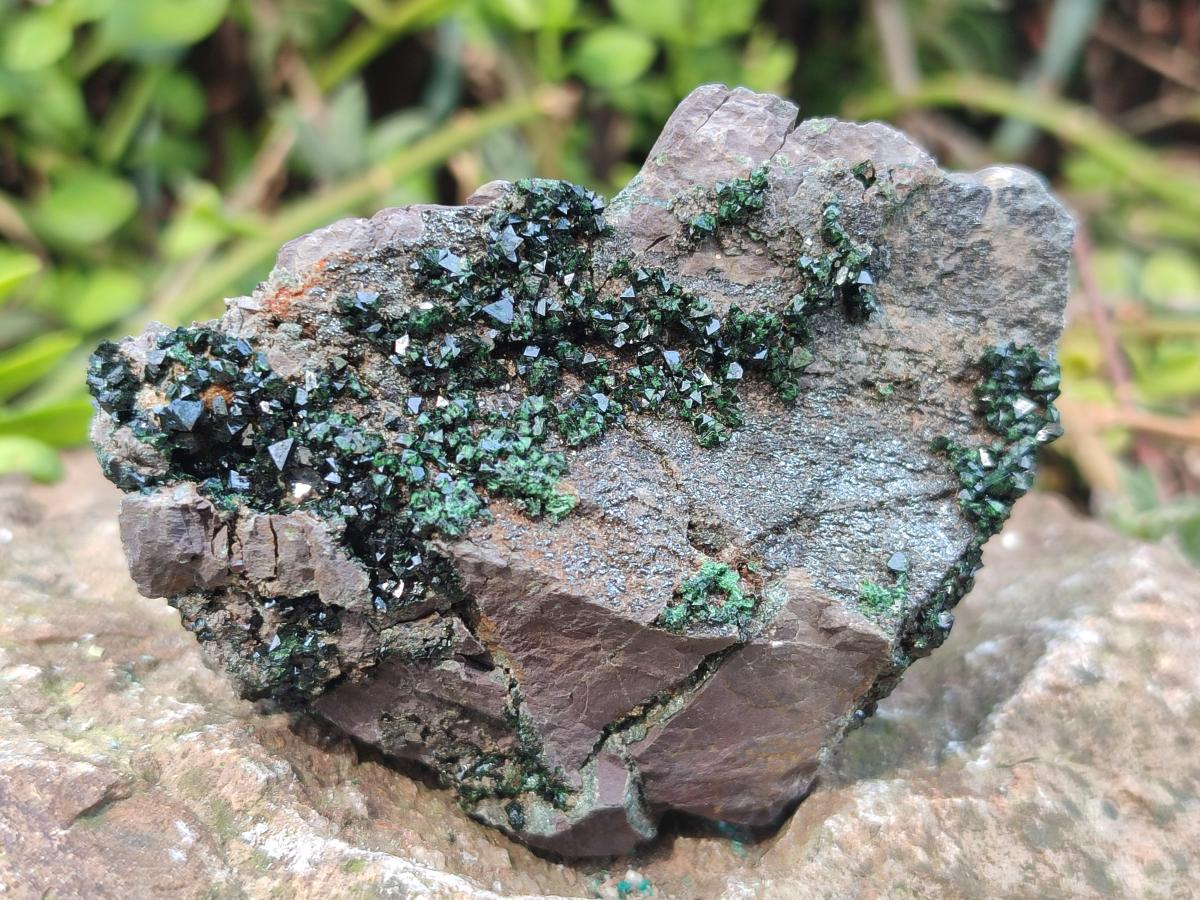 Natural Crystalline Libethenite Specimens on Dolomite Matrix x 4 From Shituru, Congo