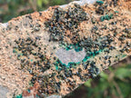 Natural Crystalline Libethenite Specimens on Dolomite Matrix x 4 From Shituru, Congo