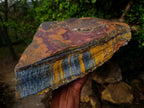 Natural XL Golden Blue Tigers Eye Slab x 1 From Prieska, South Africa