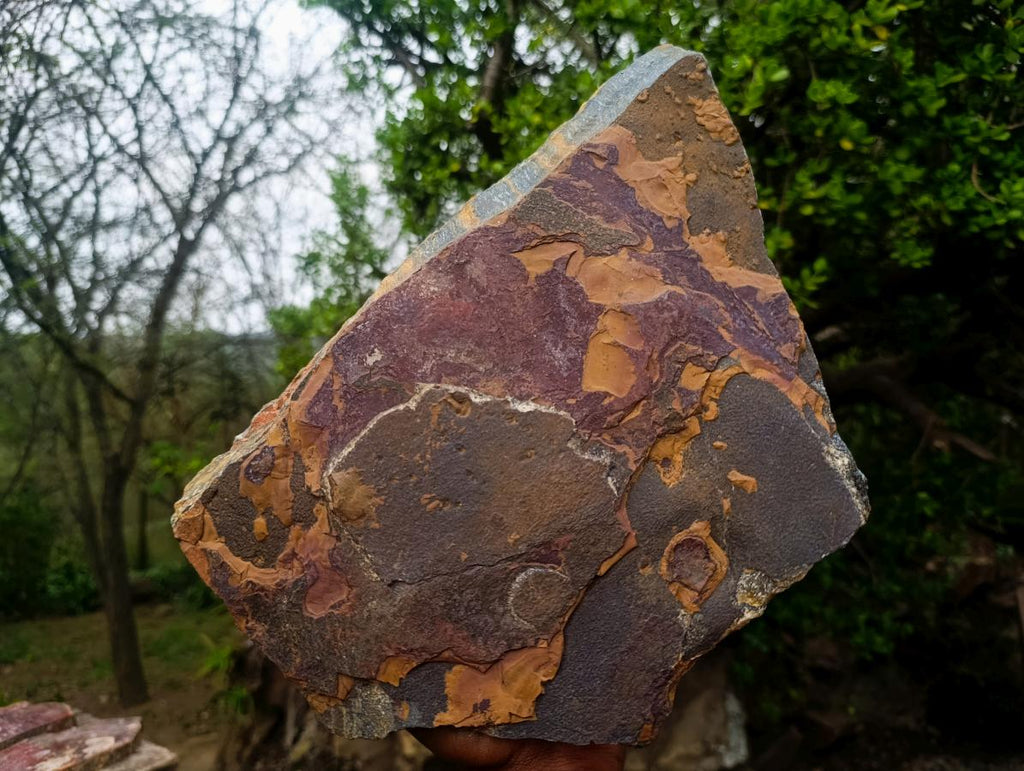 Natural XL Golden Blue Tigers Eye Slab x 1 From Prieska, South Africa