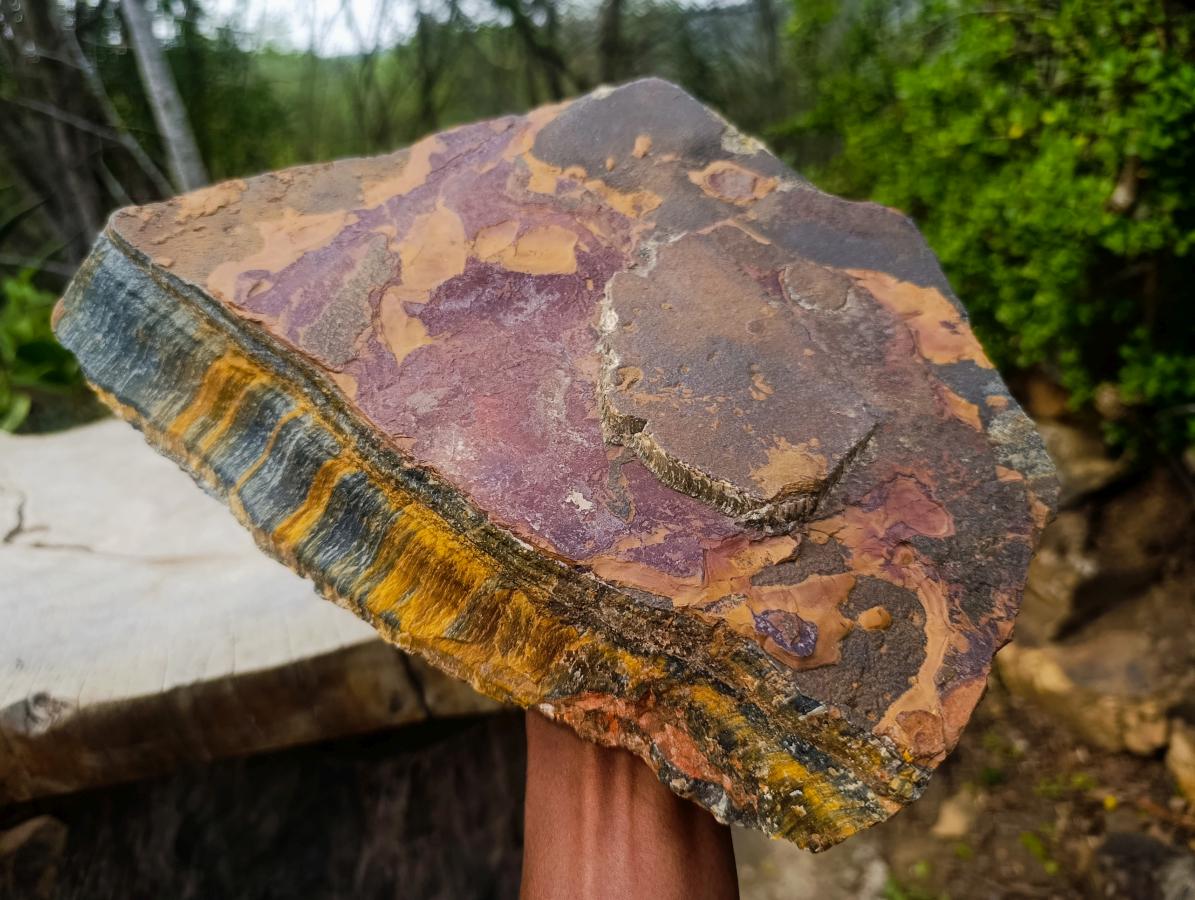 Natural XL Golden Blue Tigers Eye Slab x 1 From Prieska, South Africa