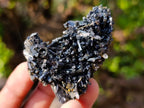 Natural Schorl Black Tourmaline Specimens x 53 From Erongo, Namibia