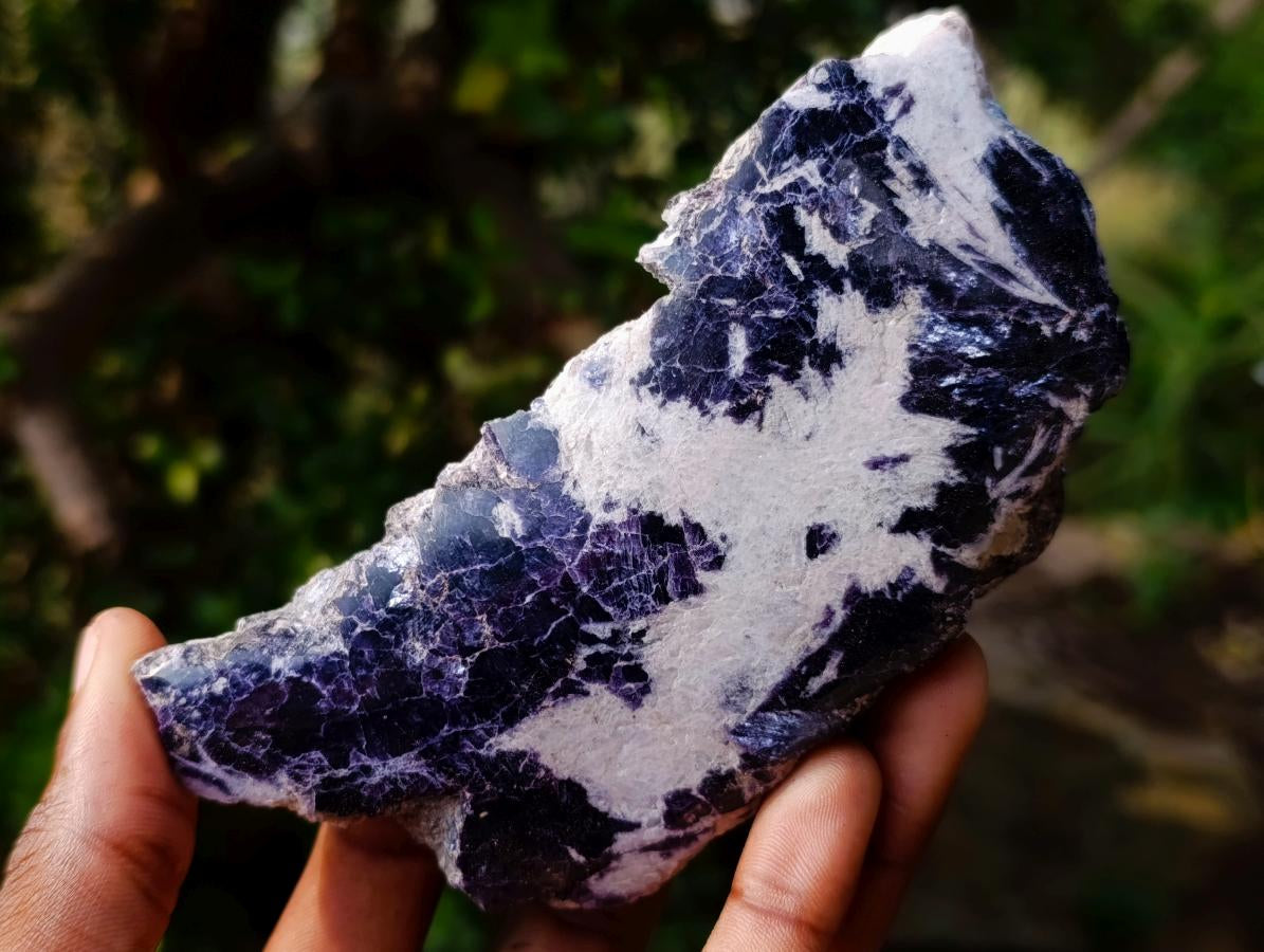 Polished Large One Side Lithium Silver Leaf Lepidolite x 6 From Zimbabwe