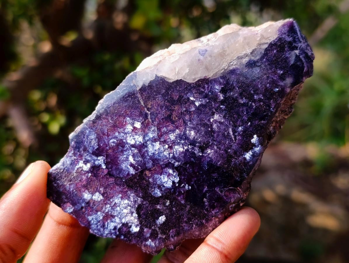 Polished Large One Side Lithium Silver Leaf Lepidolite x 6 From Zimbabwe
