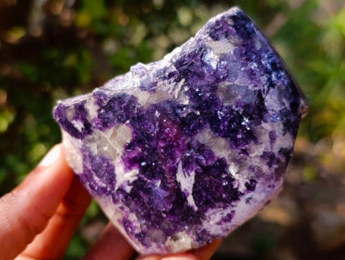 Polished Large One Side Lithium Silver Leaf Lepidolite x 6 From Zimbabwe
