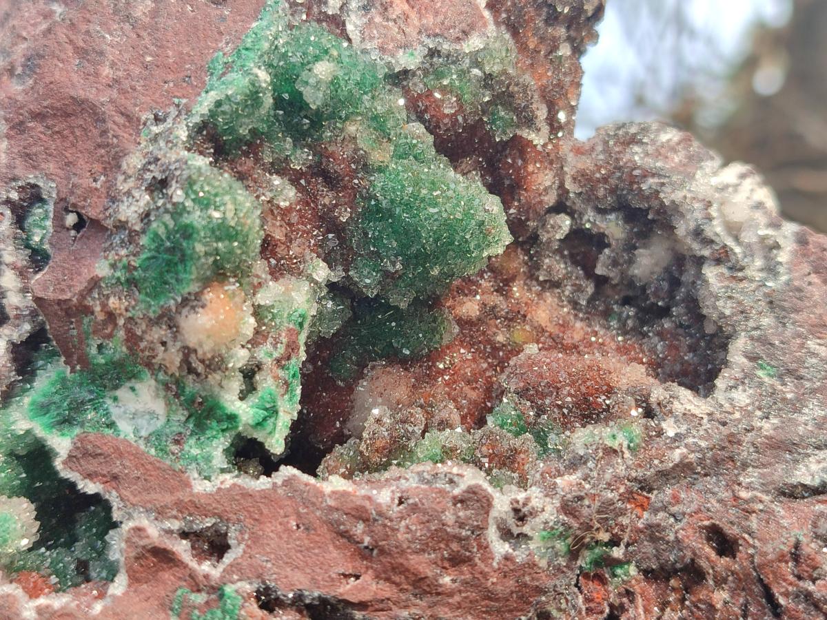 Natural Large Ball Malachite Specimen with Drusy Quartz on Red Dolomite x 1 From Mindingi Mine, Kambove, Congo