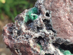 Natural Large Ball Malachite Specimen with Drusy Quartz on Red Dolomite x 1 From Mindingi Mine, Kambove, Congo