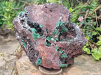 Natural Large Ball Malachite Specimen with Drusy Quartz on Red Dolomite x 1 From Mindingi Mine, Kambove, Congo