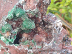 Natural Large Ball Malachite Specimen with Drusy Quartz on Red Dolomite x 1 From Mindingi Mine, Kambove, Congo
